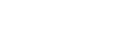 Die Wortmarke des Literaturbüros in der Euregio Maas-Rhein e. V.